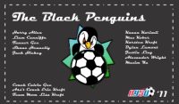 Penguins Custom Soccer Banner Examples - AYSO Penguins Banner - TeamsBanner