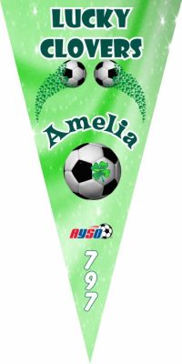 Custom Soccer Pennants Examples - AYSO Soccer Pennants - TeamsBanner