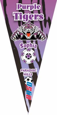 Custom Soccer Pennants Examples - AYSO Soccer Pennants - TeamsBanner