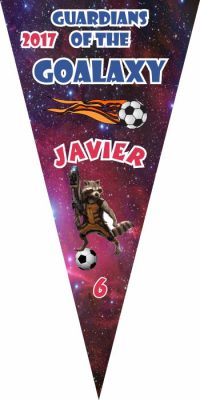 Custom Soccer Pennants Examples - AYSO Soccer Pennants - TeamsBanner