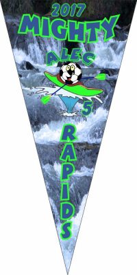Custom Soccer Pennants Examples - AYSO Soccer Pennants - TeamsBanner