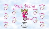 Pixies / Fairies Custom Soccer Banner Examples - AYSO Pixies / Fairies Banner - TeamsBanner