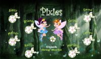 Pixies / Fairies Custom Soccer Banner Examples - AYSO Pixies / Fairies Banner - TeamsBanner