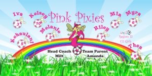 Pixies / Fairies Custom Soccer Banner Examples - AYSO Pixies / Fairies Banner - TeamsBanner