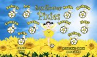 Pixies / Fairies Custom Soccer Banner Examples - AYSO Pixies / Fairies Banner - TeamsBanner