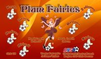 Pixies / Fairies Custom Soccer Banner Examples - AYSO Pixies / Fairies Banner - TeamsBanner