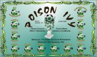 Poison Custom Soccer Banner Examples - AYSO Poison Banner - TeamsBanner