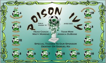 Poison Custom Soccer Banner Examples - AYSO Poison Banner - TeamsBanner