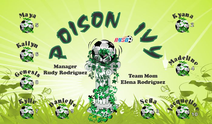 Poison Custom Soccer Banner Examples - AYSO Poison Banner - TeamsBanner