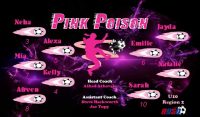Poison Custom Soccer Banner Examples - AYSO Poison Banner - TeamsBanner