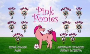Ponies Custom Soccer Banner Examples - AYSO Ponies Banner - TeamsBanner