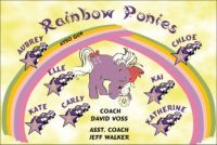 Ponies Custom Soccer Banner Examples - AYSO Ponies Banner - TeamsBanner