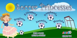 Princesses Custom Soccer Banner Examples - AYSO Princesses Banner - TeamsBanner