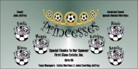 Princesses Custom Soccer Banner Examples - AYSO Princesses Banner - TeamsBanner