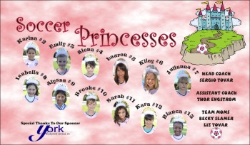 Princesses Custom Soccer Banner Examples - AYSO Princesses Banner - TeamsBanner