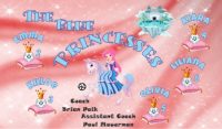 Princesses Custom Soccer Banner Examples - AYSO Princesses Banner - TeamsBanner