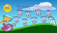 Princesses Custom Soccer Banner Examples - AYSO Princesses Banner - TeamsBanner