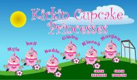 Princesses Custom Soccer Banner Examples - AYSO Princesses Banner - TeamsBanner