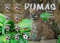 Pumas Custom Soccer Banner Examples - AYSO Pumas Banner - TeamsBanner