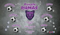 Pumas Custom Soccer Banner Examples - AYSO Pumas Banner - TeamsBanner