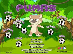 Pumas Custom Soccer Banner Examples - AYSO Pumas Banner - TeamsBanner