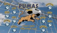 Pumas Custom Soccer Banner Examples - AYSO Pumas Banner - TeamsBanner