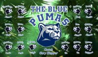 Pumas Custom Soccer Banner Examples - AYSO Pumas Banner - TeamsBanner