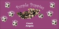 Puppies Custom Soccer Banner Examples - AYSO Puppies Banner - TeamsBanner