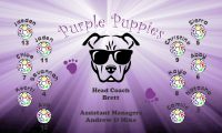 Puppies Custom Soccer Banner Examples - AYSO Puppies Banner - TeamsBanner