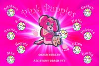Puppies Custom Soccer Banner Examples - AYSO Puppies Banner - TeamsBanner