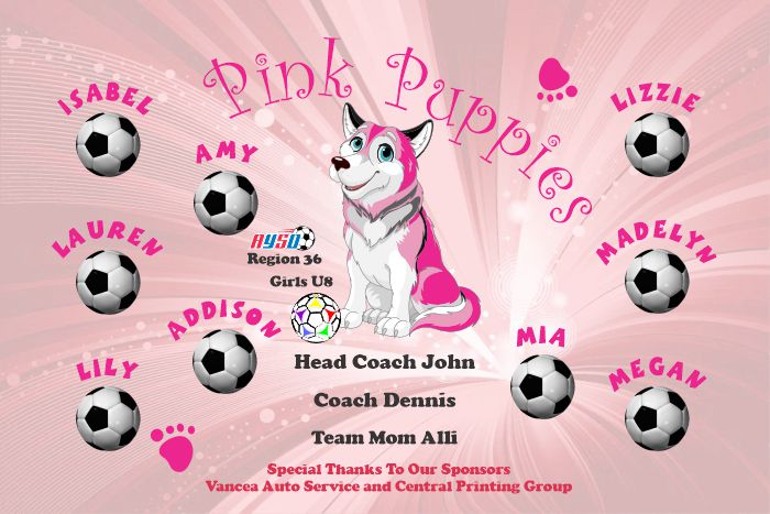 Puppies Custom Soccer Banner Examples - AYSO Puppies Banner - TeamsBanner