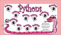 Pythons Custom Soccer Banner Examples - AYSO Pythons Banner - TeamsBanner