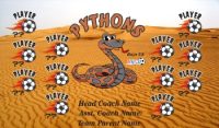 Pythons Custom Soccer Banner Examples - AYSO Pythons Banner - TeamsBanner