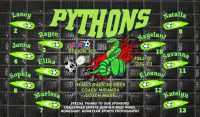 Pythons Custom Soccer Banner Examples - AYSO Pythons Banner - TeamsBanner