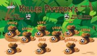 Pythons Custom Soccer Banner Examples - AYSO Pythons Banner - TeamsBanner