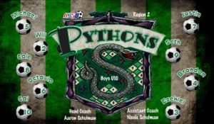 Pythons Custom Soccer Banner Examples - AYSO Pythons Banner - TeamsBanner