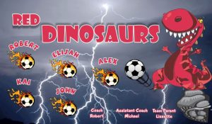 Raptors Custom Soccer Banner Examples - AYSO Raptors Banner - TeamsBanner