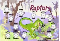 Raptors Custom Soccer Banner Examples - AYSO Raptors Banner - TeamsBanner