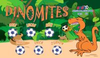 Raptors Custom Soccer Banner Examples - AYSO Raptors Banner - TeamsBanner