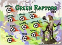 Raptors Custom Soccer Banner Examples - AYSO Raptors Banner - TeamsBanner