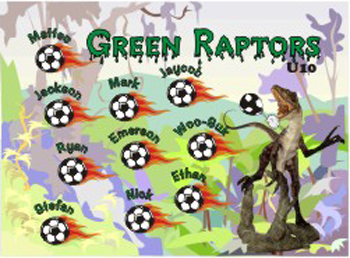 Raptors Custom Soccer Banner Examples - AYSO Raptors Banner - TeamsBanner