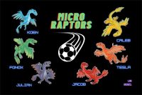 Raptors Custom Soccer Banner Examples - AYSO Raptors Banner - TeamsBanner