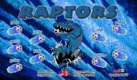 Raptors Custom Soccer Banner Examples - AYSO Raptors Banner - TeamsBanner