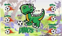 Raptors Custom Soccer Banner Examples - AYSO Raptors Banner - TeamsBanner