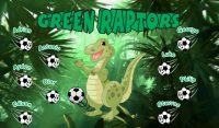 Raptors Custom Soccer Banner Examples - AYSO Raptors Banner - TeamsBanner