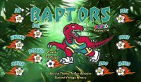 Raptors Custom Soccer Banner Examples - AYSO Raptors Banner - TeamsBanner