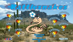 Rattlers Custom Soccer Banner Examples - AYSO Rattlers Banner - TeamsBanner