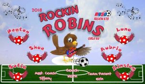 Robins Custom Soccer Banner Examples - AYSO Robins Banner - TeamsBanner
