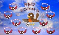 Robins Custom Soccer Banner Examples - AYSO Robins Banner - TeamsBanner