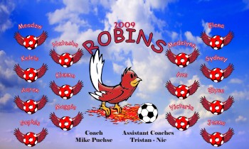 Robins Custom Soccer Banner Examples - AYSO Robins Banner - TeamsBanner